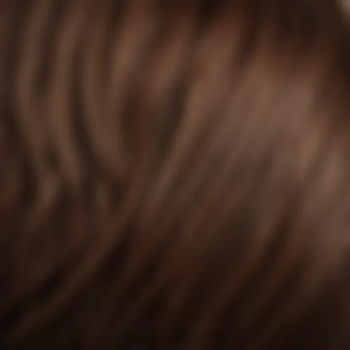 Close-up of hair strands dyed in a rich brown hue