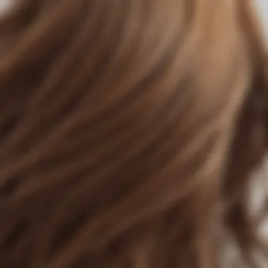 Close-up of hair strands showcasing healthy shine