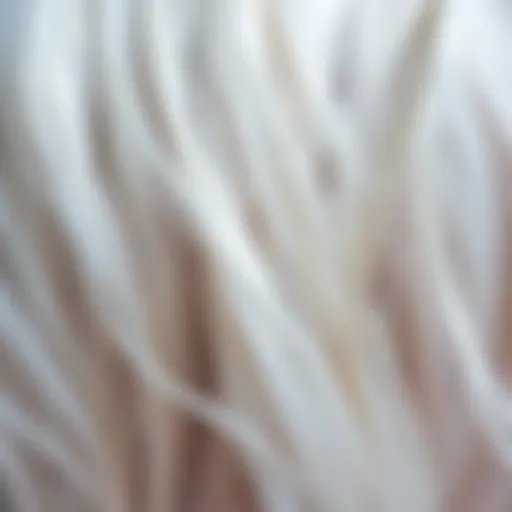 A close-up of hair strands showing the contrast between white and dyed hair.