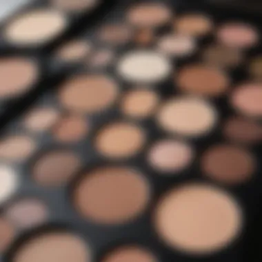 Close-up of a contour palette with various shades