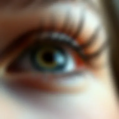 Factors Influencing Eyelash Shedding Illustration showing factors affecting eyelash shedding