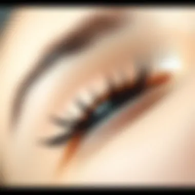 The Beauty of Healthy Eyelashes Close-up view of healthy eyelashes