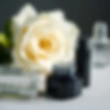 Essential Products for Eyelash Care Nourishing products for eyelash care