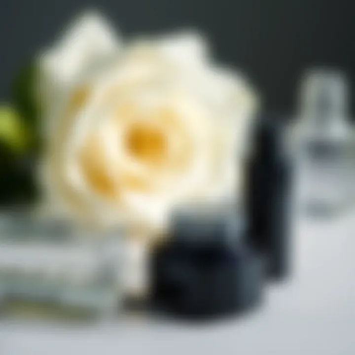 Essential Products for Eyelash Care Nourishing products for eyelash care