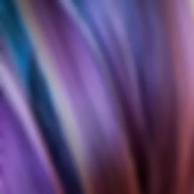 Beautiful Gradient in Hair Color Close-up of hair strands showing color gradient