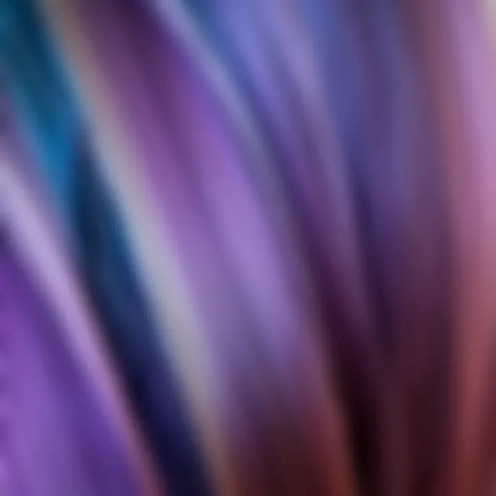 Beautiful Gradient in Hair Color Close-up of hair strands showing color gradient