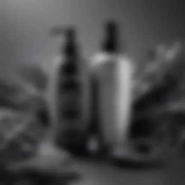 A collection of high-quality hair care products specifically designed for maintaining gray-black hair.