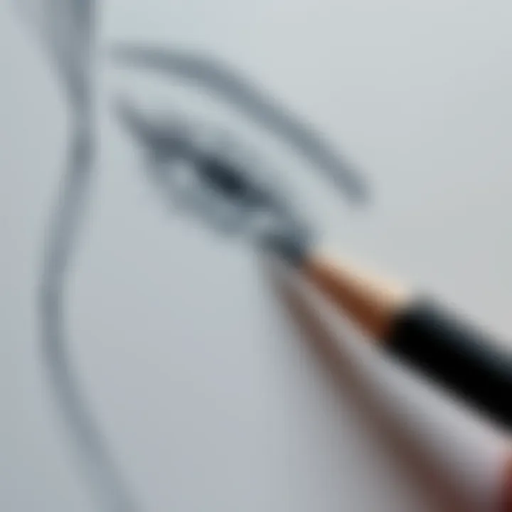 Artistic pencil drawing example