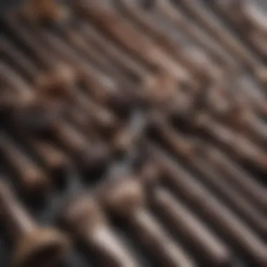 A close-up of makeup brushes arranged elegantly