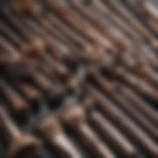 A close-up of makeup brushes arranged elegantly