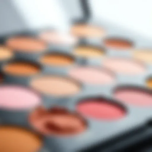 Exploring the Spectrum of Pink Foundations A close-up view of pink foundation shades on a palette