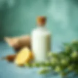 Natural Ingredients for Hair Care Natural ingredients for hair care