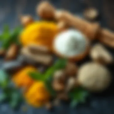 Herbal Ingredients for Hair Strengthening An assortment of herbal ingredients known for hair strengthening