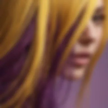 Close-up of Yellow and Purple Hair Strands Close-up of hair strands in yellow and purple hues